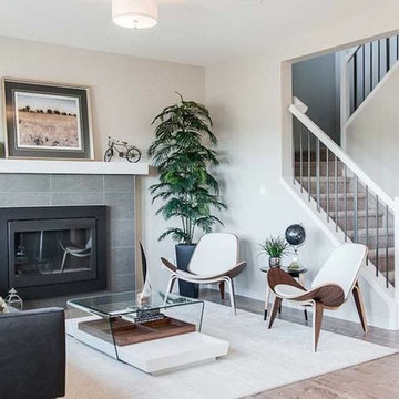 Dover by Dolce Vita Homes