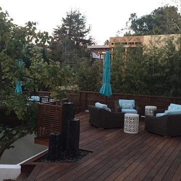 Modern IPE backyard - Santa Monica