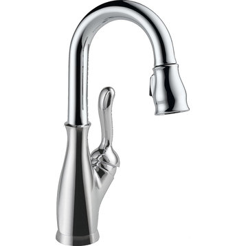 Elegant Kitchen Faucet, Curved Handle & Pull Down Sprayer, Chrome