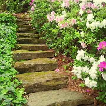 Garden Design - Elements Landscape