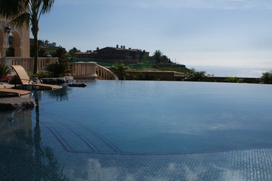 Example of a mid-sized classic backyard stone and custom-shaped pool design in Los Angeles