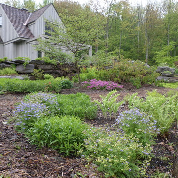 Jacob's Ladder, Solomon's Seal and Creeping Phlox