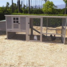 Chicken coop