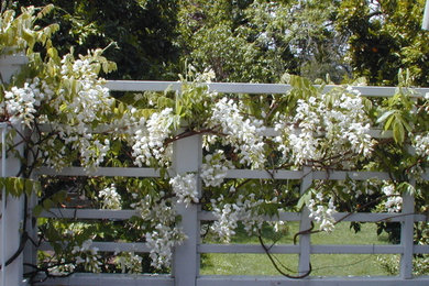Inspiration for a traditional landscaping in San Francisco.