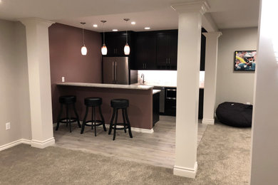 Example of a transitional basement design in Detroit