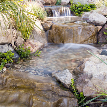 Koi Fish Pond With a View!