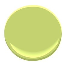 paint color