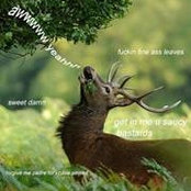 Scott Wicken's photo