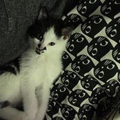Sara Beaudet's photo