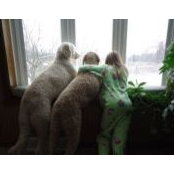 Shawn Knight's photo