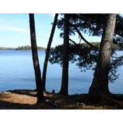 Lynn Noack's photo