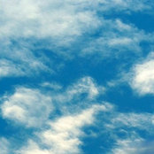 Sky Taylor's photo