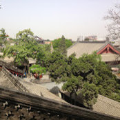 Li Yang's photo