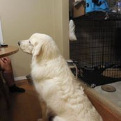 Michael Greenlee's photo