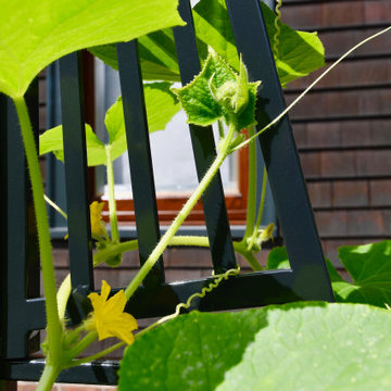 Brookline Edible Garden Paradise