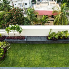 rooftop garden