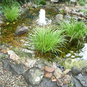Water Gardens