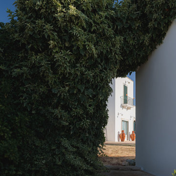 Prospettive segrete: la masseria incorniciata dalla natura