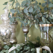 Paint Colors