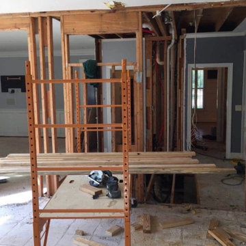 Ameer kitchen and living area removal load bearing wall