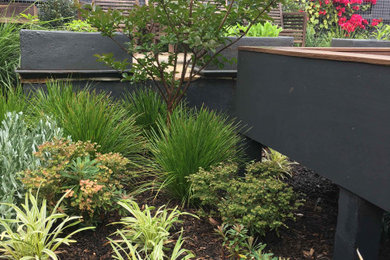 This is an example of a large contemporary backyard full sun xeriscape for spring in Melbourne with with flowerbed, natural stone pavers and a wood fence.