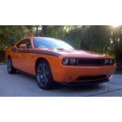Andrew Althaus's photo