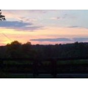 Laura Schmitt's photo