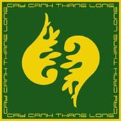 Cây Cảnh Thăng Longs foto