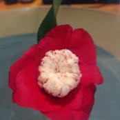 Meiling Lee's photo