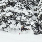 Colter McClure's photo