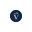 Velocity Projects