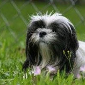 Barbara Kordisch's photo