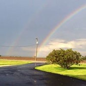 Marcie Hogan's photo