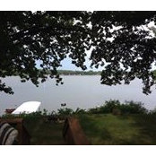 Judith Ross's photo