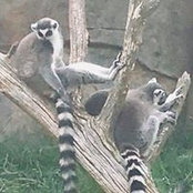 Foto von Christiane Potts