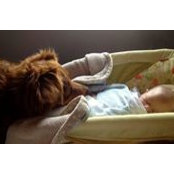Adam Cotton's photo
