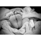 Jessica Holbrook's photo