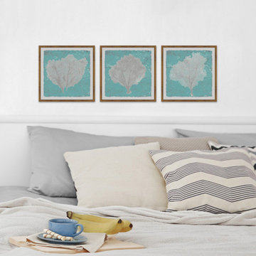Graphic Sea Fan IX Triptych