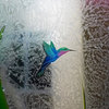 Front Door - Iris Hummingbird - Mahogany - 36" x 80" - Knob on Left - Push Open