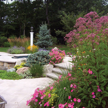 Dana Schock and Associates