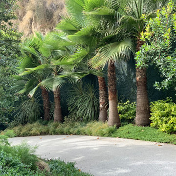 Franklin Garden Path