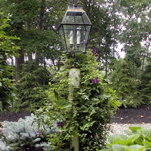 Landscape Ideas
