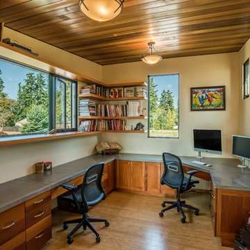 Hale Residence - Office Loft