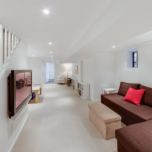 Long Narrow Room Basement Ideas & Photos | Houzz