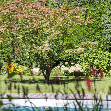 Livingpool Korschenbroich