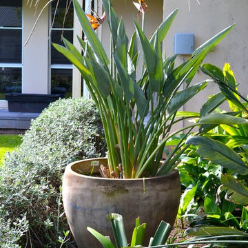 Tusmore Garden Revamp
