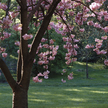 Bartlett Design Capabilities