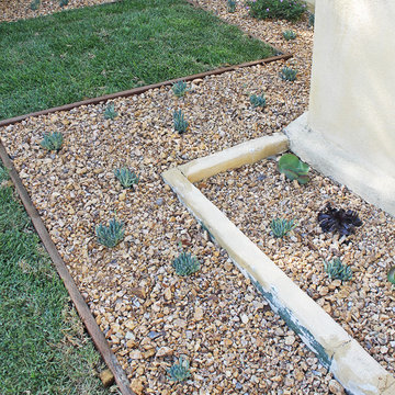 Front Yard: Close-up of a Drought-Tolerant border