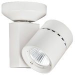 WAC Lighting - 52W Exterminator II LED Energy Star Monopoint Flood Beam 3000K, White - The LEDme Exterminator II offers superior light output in a compact, unobtrusive design. The Exterminator II collection was developed for upscale residential and commercial environments, with superior illumination, in a compact design. Available in three high powered LED monopoint options in 14W, 23W, 35W, and 52W, comparing up to a 100W HID equivalent. The canopy is included with the monopoint, and can be ordered with an extension rod (6", 12", 18", 24", 36") to drop the head.