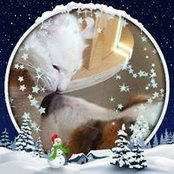 Audrey Stempell's photo